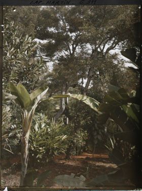 Image représentant Cap-Martin - Le Jardin