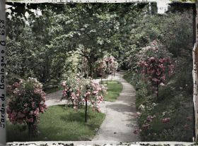 Image représentant Parterres fleuris au centre de l'allée située au sud du verger-roseraie, vus en direction de l'est