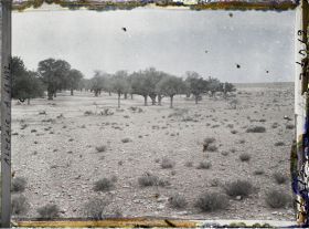 Image représentant La dépression du sol formant la daya