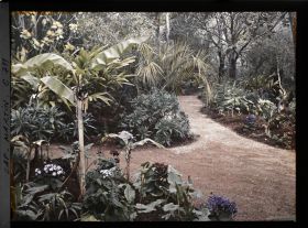 Image représentant Jardin divers