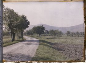 Image représentant Château de Haut-Koenigsbourg