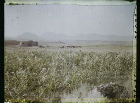 Image représentant Vue vers Le caravansérail