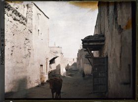 Image représentant Une rue de la medina