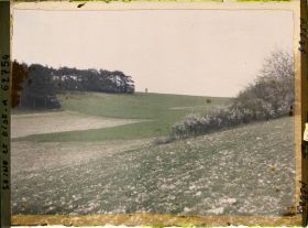Image représentant Ile de France, Vallangoujard, Blé et seigle