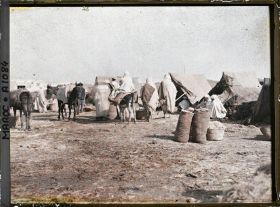 Image représentant Le marché de la paille