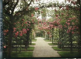 Image représentant Axe central du verger-roseraie vu à mi-parcours, en direction de la dépendance
