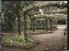 Image représentant Parterres nord d'un rond-point du verger-roseraie plantés de légumes, près du jardin français