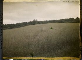 Image représentant Ile de France, Vallangoujard, Champ de blé par Ciel Orageux