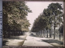 Image représentant Contre-allée des Champs-Elysées