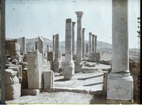 Image représentant Algérie, Djemila, Basilique Chrétienne primitive (IVe S.)