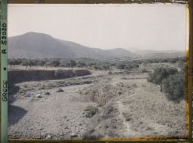 Image représentant Vallée de Gouves, entre Héraklion et Malia