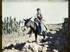 Image représentant Enfant druze sur son âne