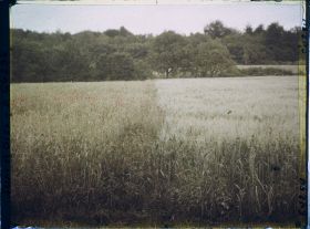 Image représentant Ile de France, Presles, Blé et Avoines