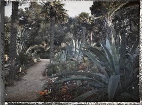 Image représentant Cap-Martin - Le Jardin