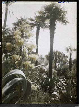 Image représentant le jardin