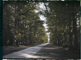 Image représentant Forêt