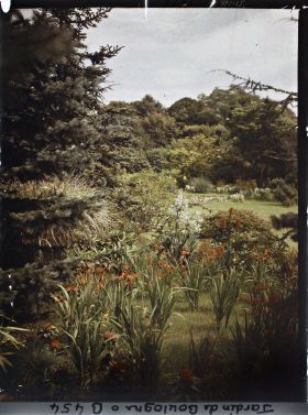 Image représentant Groupe de fleurs chatoyantes situées face au marais, vu en direction du nord