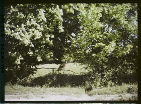 Image représentant Pâturage