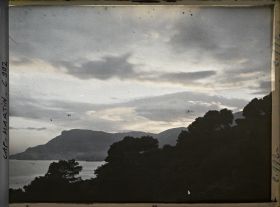 Image représentant Ligne d'arbres vue à contre-jour, en direction de Monaco, non loin de la villa Kahn dite villa Zamir