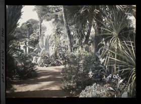 Image représentant le Jardin