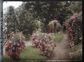 Image représentant Parterres fleuris au centre de l'allée située au sud du verger-roseraie, vus en direction de l'est