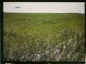 Image représentant France, Fontenay-Fleuri, Aspect des Cultures,