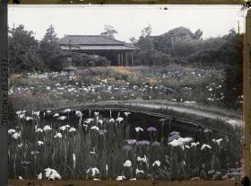Image représentant Jardin d'iris de Horikiri