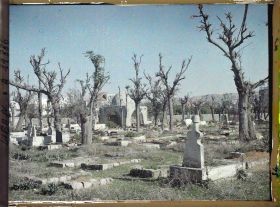 Image représentant Le cimetière musulman