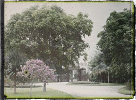 Image représentant Un parc