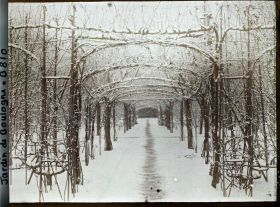 Image représentant Axe central du verger-roseraie sous la neige, vu vers la dépendance, à la limite du jardin français