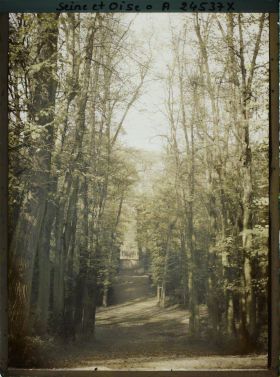 Image représentant Une allée du parc