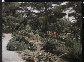Image représentant Cap-Martin - Le Jardin