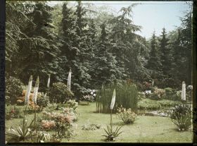 Image représentant La pelouse près du marais