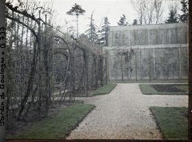 Image représentant Allée du jardin français jouxtant le verger-roseraie, en direction de la serre