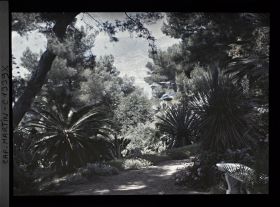 Image représentant Monaco vu d'une allée du jardin