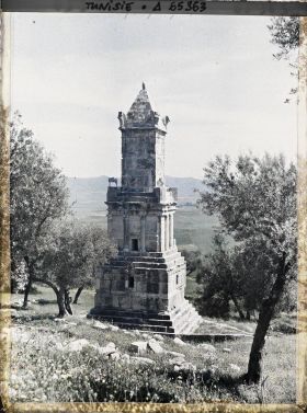 Image représentant Le mausolée libyco-punique au milieu des oliviers