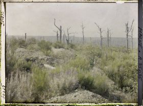 Image représentant France, Marie Thérèse, Sud-Est de la Harazée et nord du ravin de Lamitte