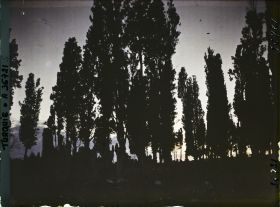 Image représentant Turquie, Constantinople, Soleil Couchant au Cimetière de Teckfour- Seraï