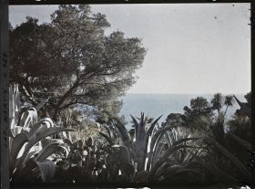 Image représentant le jardin vue vers la mer