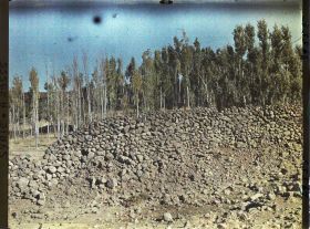 Image représentant Mur en pierres basaltiques et peupliers