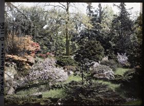 Image représentant Versant arboré face à la maison ouest du " village japonais ", situé à l'ouest du pavillon de thé