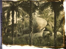 Image représentant Paysage montagneux d'éboulis rocheux