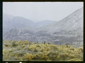 Image représentant Paysage de petite montagne  avec buissons jaunes au premier plan