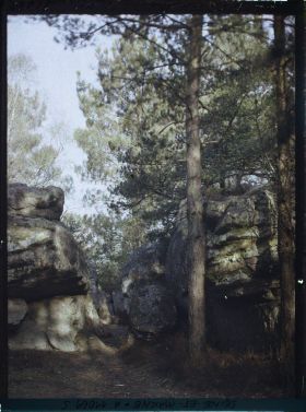 Image représentant France, Fontainebleau, Forêt de Fontainebleau