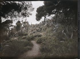 Image représentant Une allée du jardin donnant sur la mer
