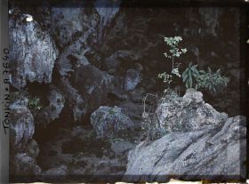 Image représentant L'intérieur de la " Grotte des Merveilles "