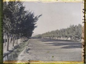 Image représentant L'avenue conduisant à l'aérodrome