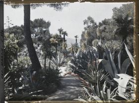 Image représentant Le Jardin