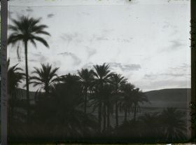 Image représentant Coucher de soleil sur la palmeraie