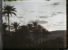 Image représentant Coucher de soleil sur la palmeraie